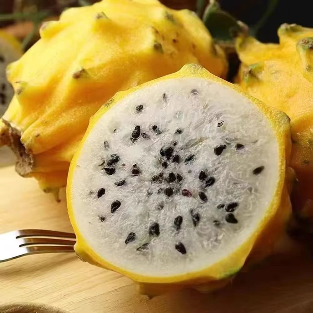 黄金金麒麟燕窝果树上自熟当季新鲜现发顺丰包邮