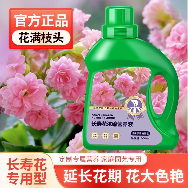 【长寿花营养液】快速生根液园艺催花专用肥长寿花适用植物营养液