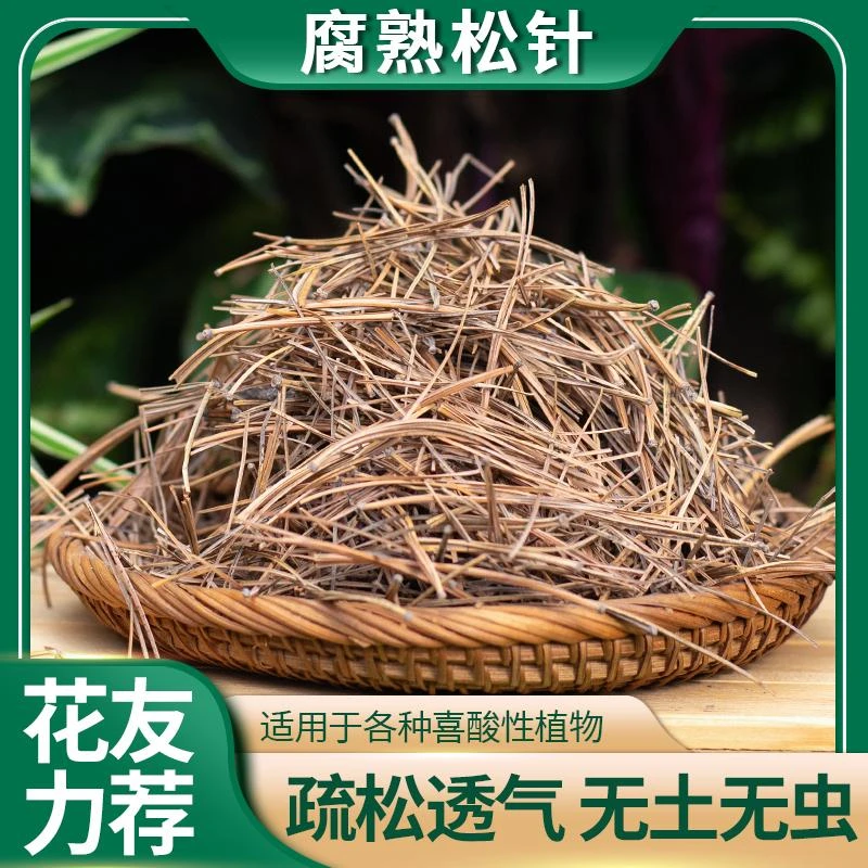 天然松针土通用优质营养土君子兰专用纯松针腐熟发酵透气营养丰富