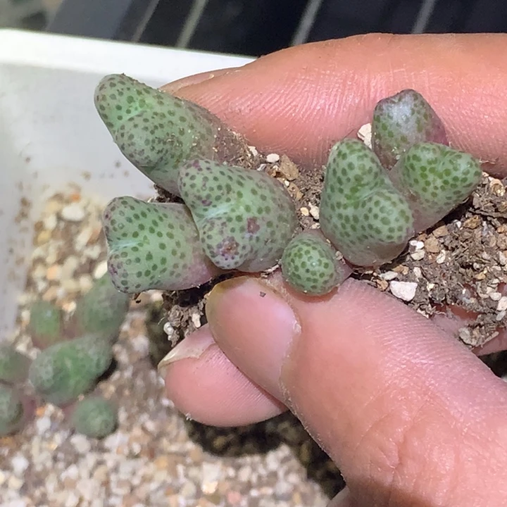 ゾ****y墨小红书上的话题目