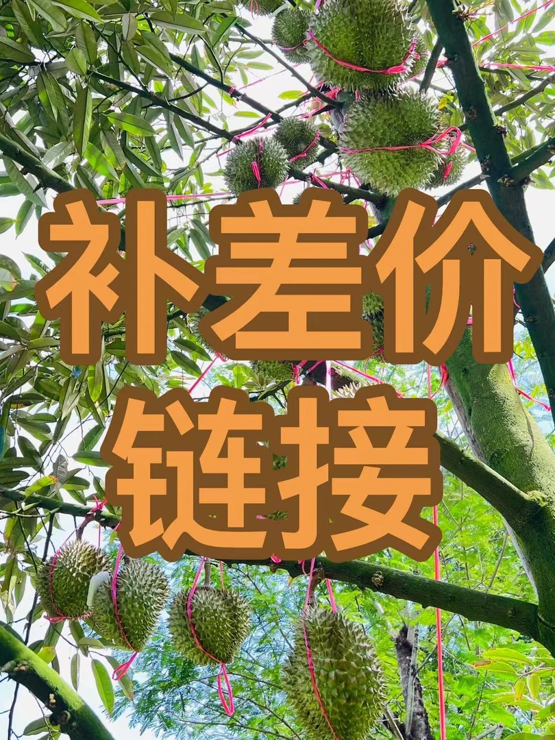 补差价专属链接榴莲同城送