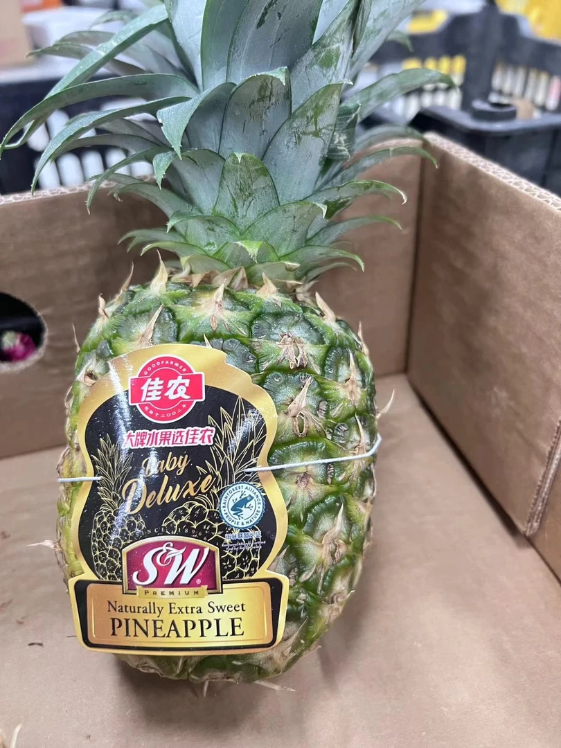 三宝爸 1个SW佳农凤梨