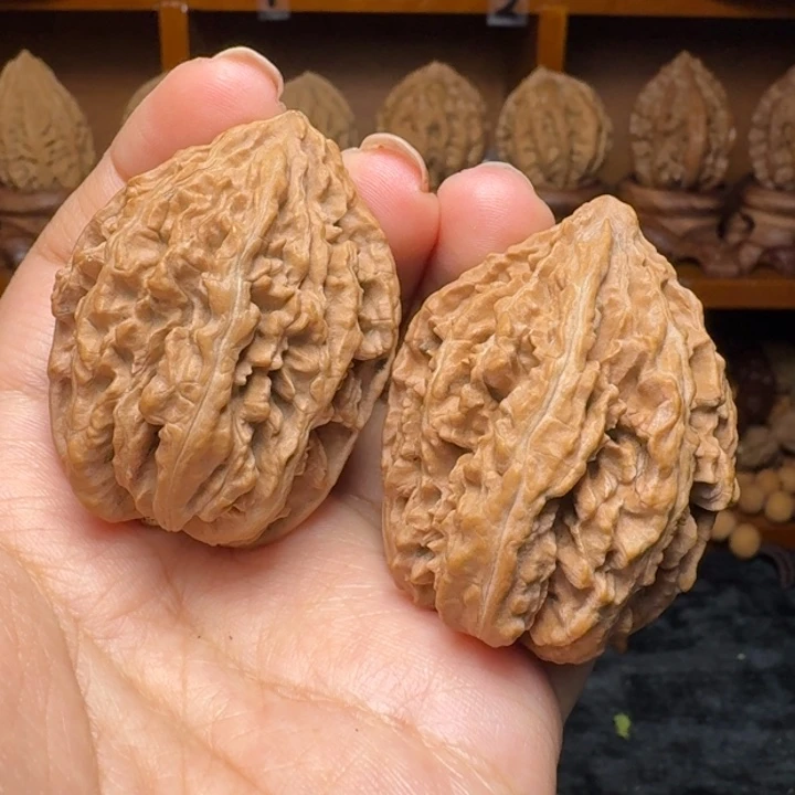 文玩核桃把件蚂蚁纹