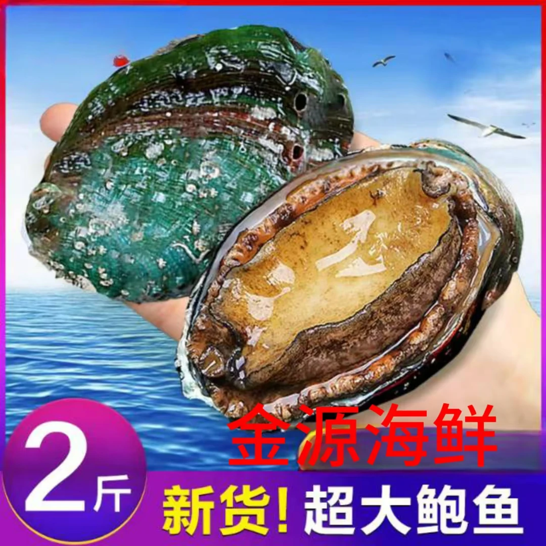 鲜活鲍鱼鲜活发货