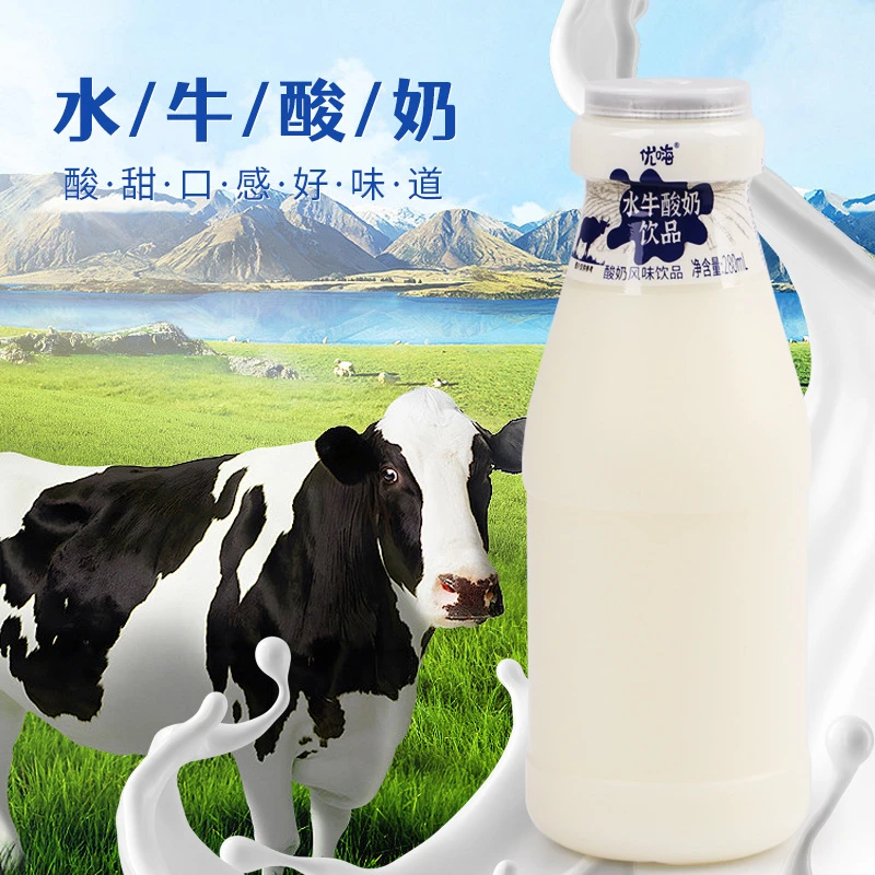 优嗨水牛酸奶280ml*12瓶益生菌早餐奶原味乳酸菌发酵风味酸奶饮品