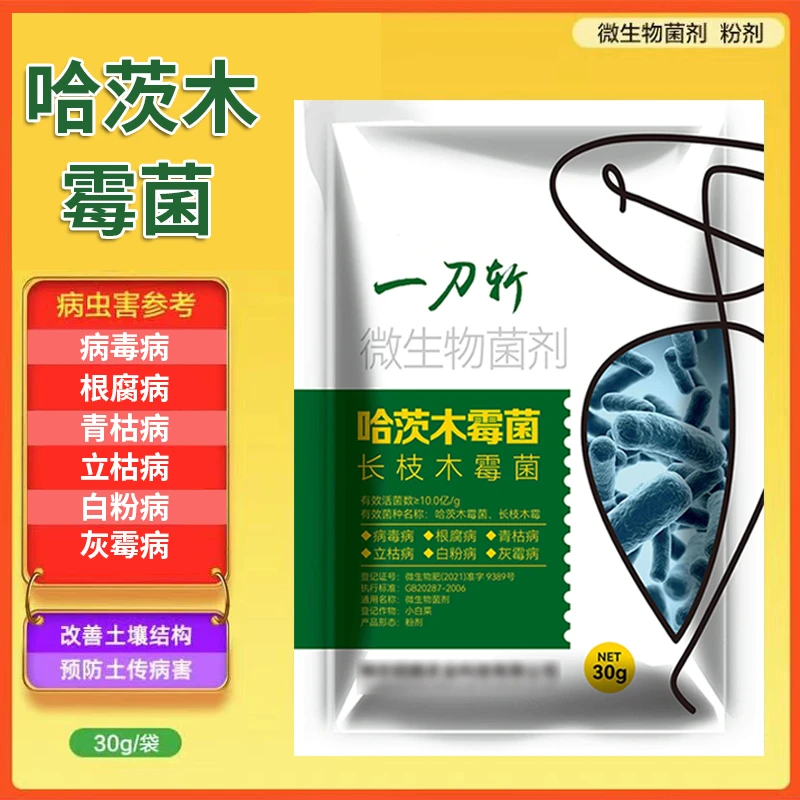 一刀斩哈茨木霉微生物菌剂病毒根腐青立枯白粉灰霉土传病蔬菜杀菌