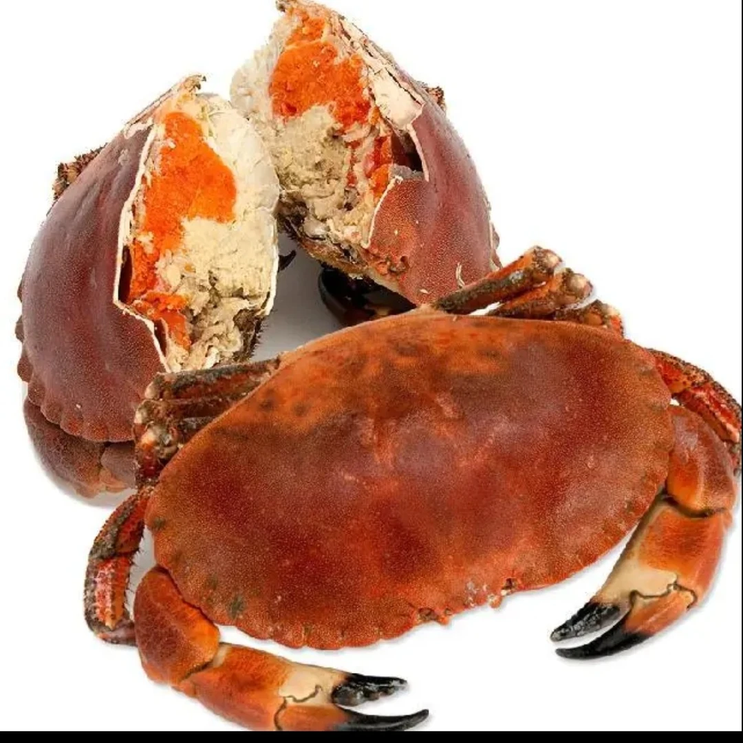 鲜活面包蟹 约2.6斤左右/只