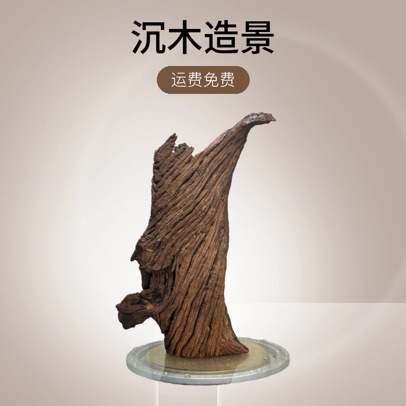 紫柚木（30￥~50￥链接）沉木造景