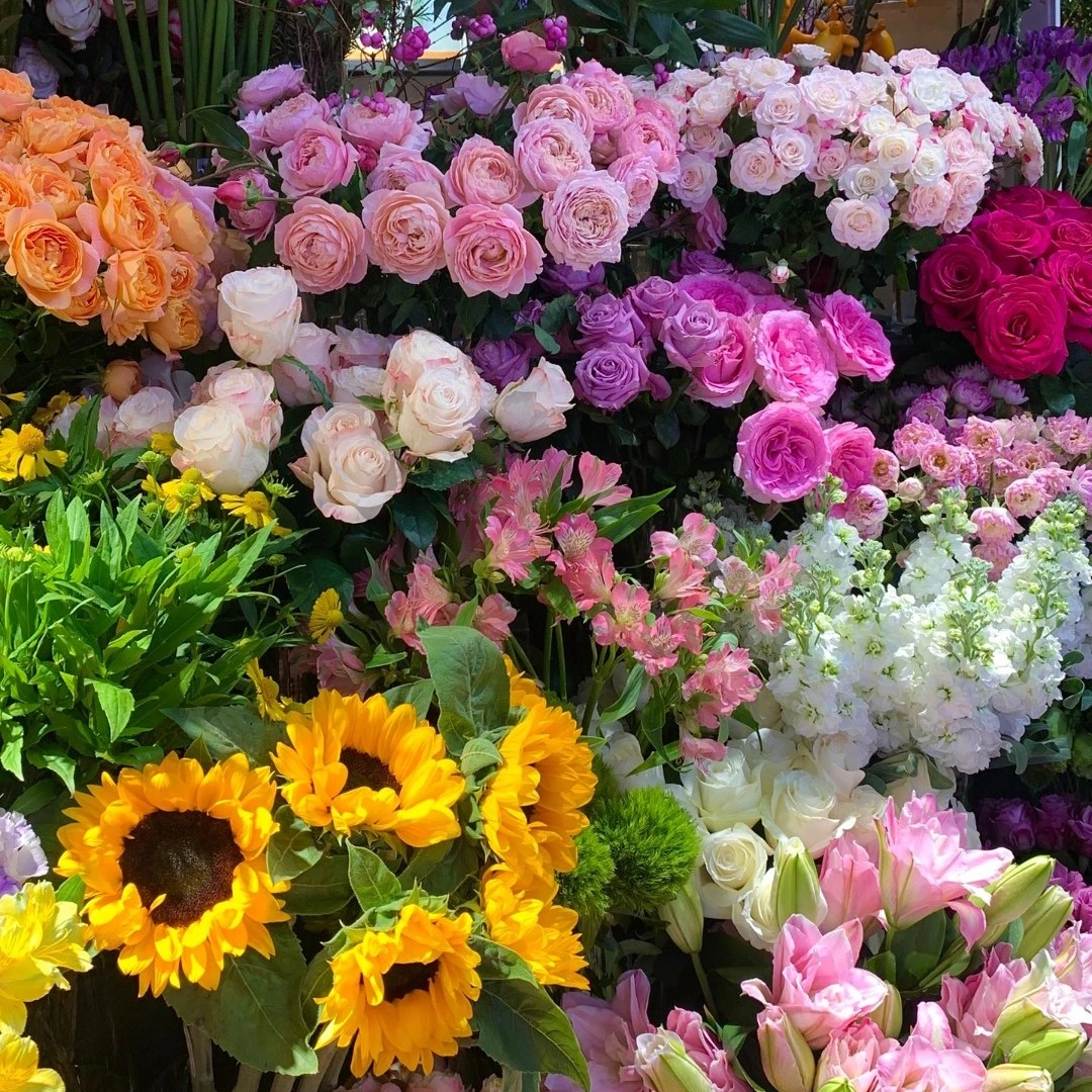 鲜花随机鲜花或花瓶一份 花期长 赠送保鲜剂 河南省内包邮
