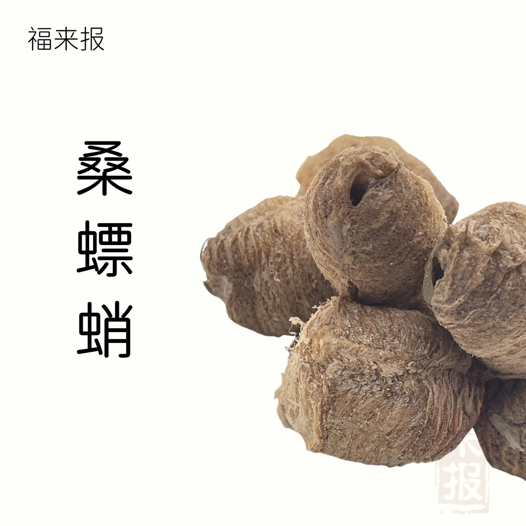 桑螵蛸(熟) 螵蛸螳螂 非甘草