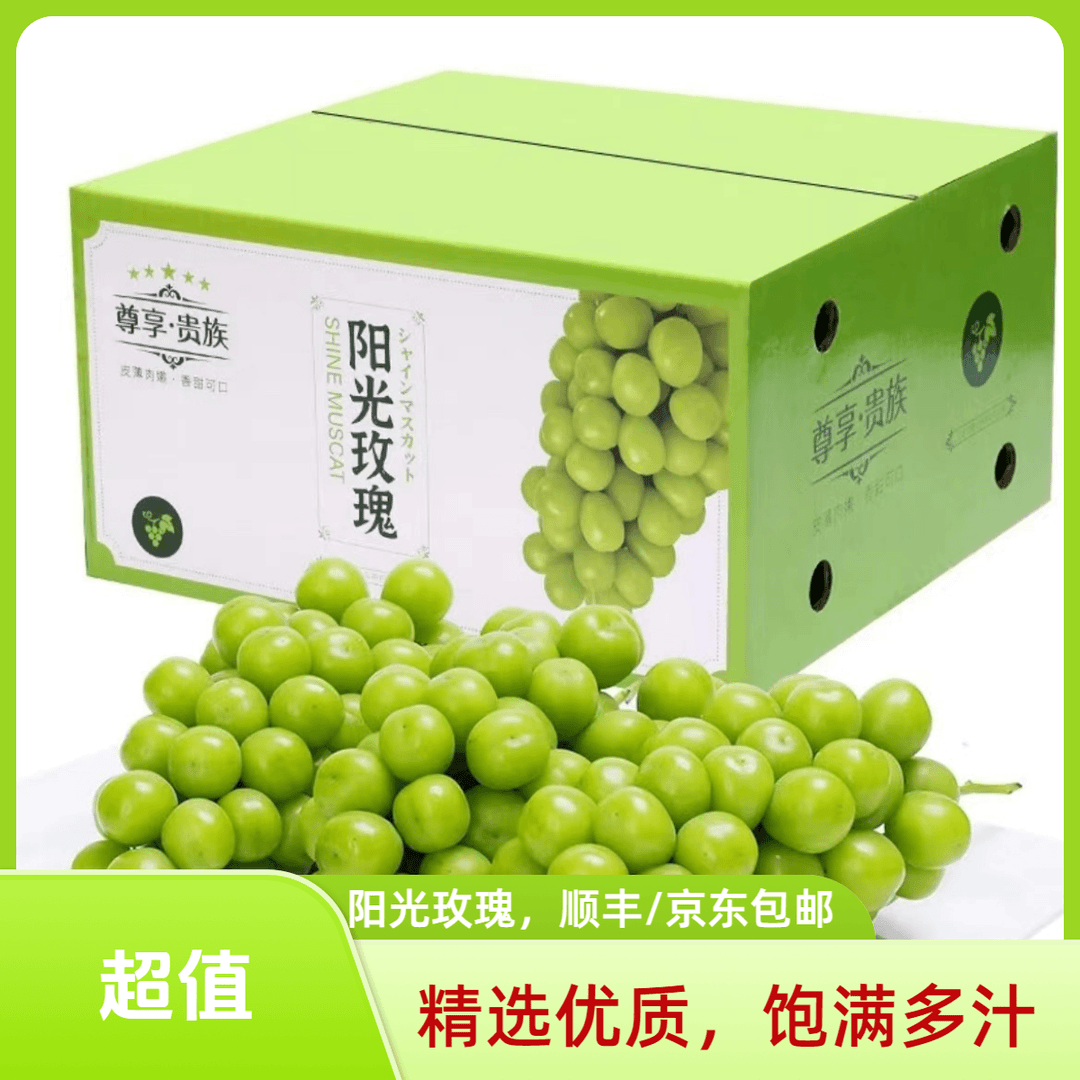 【西昌阳光玫瑰-顺丰/京东包邮】正宗西昌阳光玫瑰5斤装应季水果