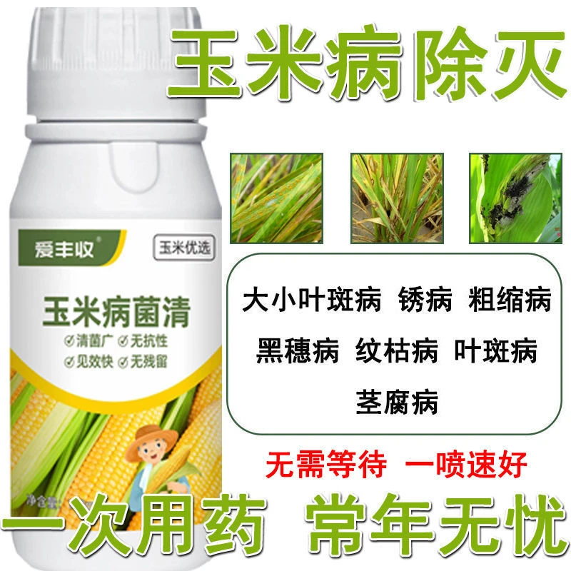 玉米杀菌剂玉米微生物菌剂玉米病全灭净大小叶斑病锈病粗缩病害清