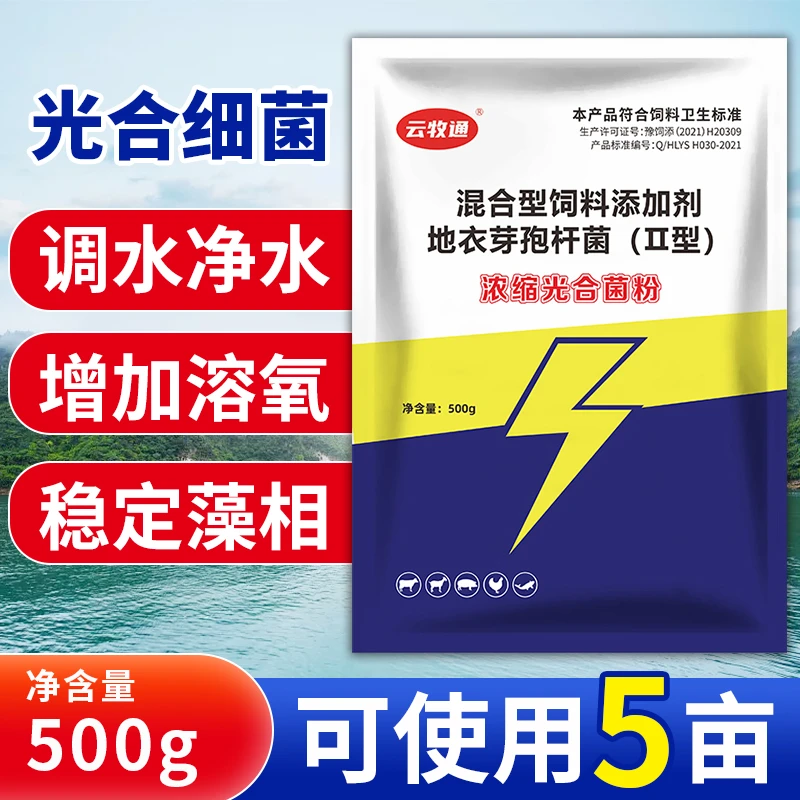 浓缩光合细菌自带培养基免发酵降氨氮亚盐控蓝藻调PH育苗天然饵料