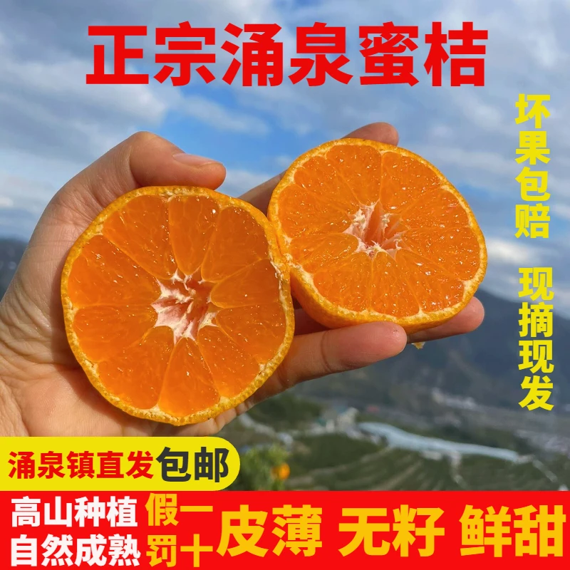 【精品蜜桔】正宗临海涌泉蜜桔当季水果新鲜橘子浙江台州黄岩蜜橘甜
