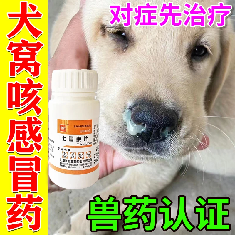 狗狗咳嗽感冒犬窝咳支原体感染猫狗呼吸道腹泻肠炎宠物抗菌消炎药
