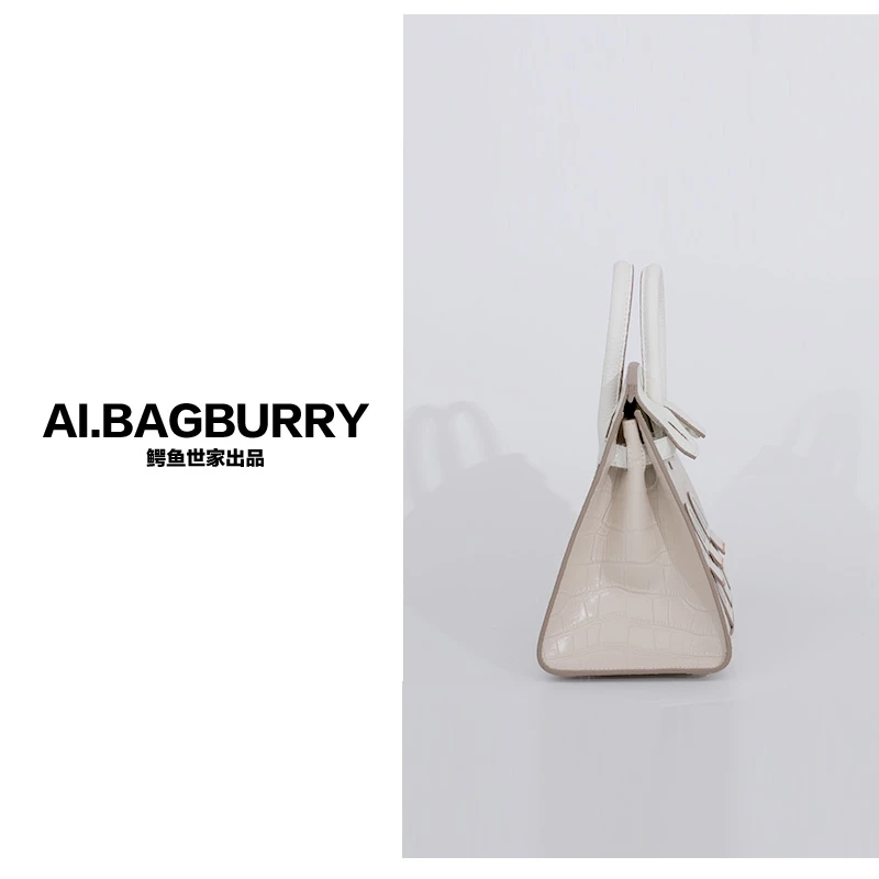 AI.BAGBURRY2024年秋冬新款雅丹时尚百搭牛皮女士包包
