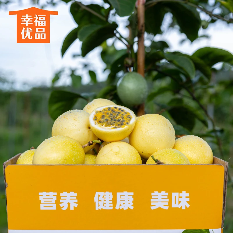 【赣南黄金果】寻乌黄金百香果新鲜采摘多汁一口新鲜10斤装产地优品