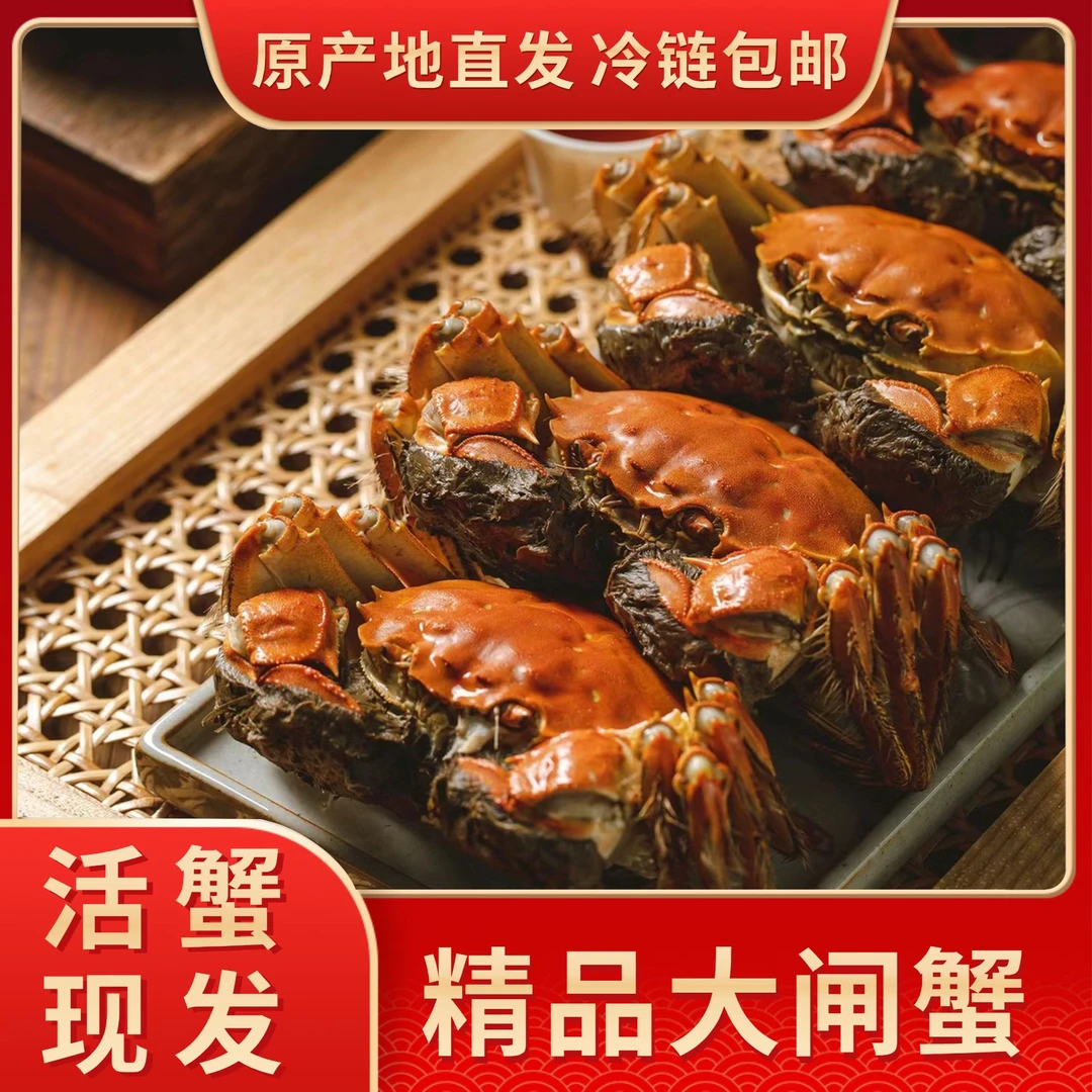 【活蟹】水氏精品大闸蟹3.0-2.7两公蟹8只加赠2只到手10只现货现发