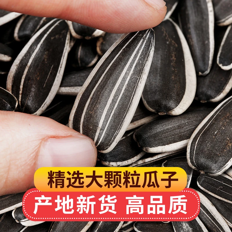 24年新货生瓜子葵花籽大颗粒2斤原味生葵花子向日葵酥脆
