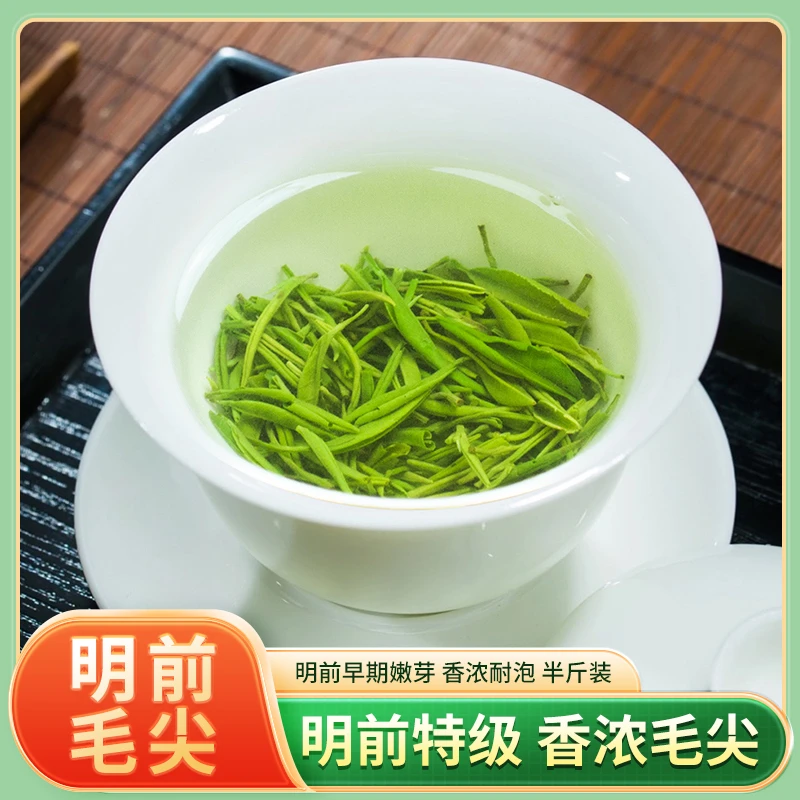 【明前毛尖】2025年云雾绿茶高山茶叶日照充足浓香型袋散装共250g