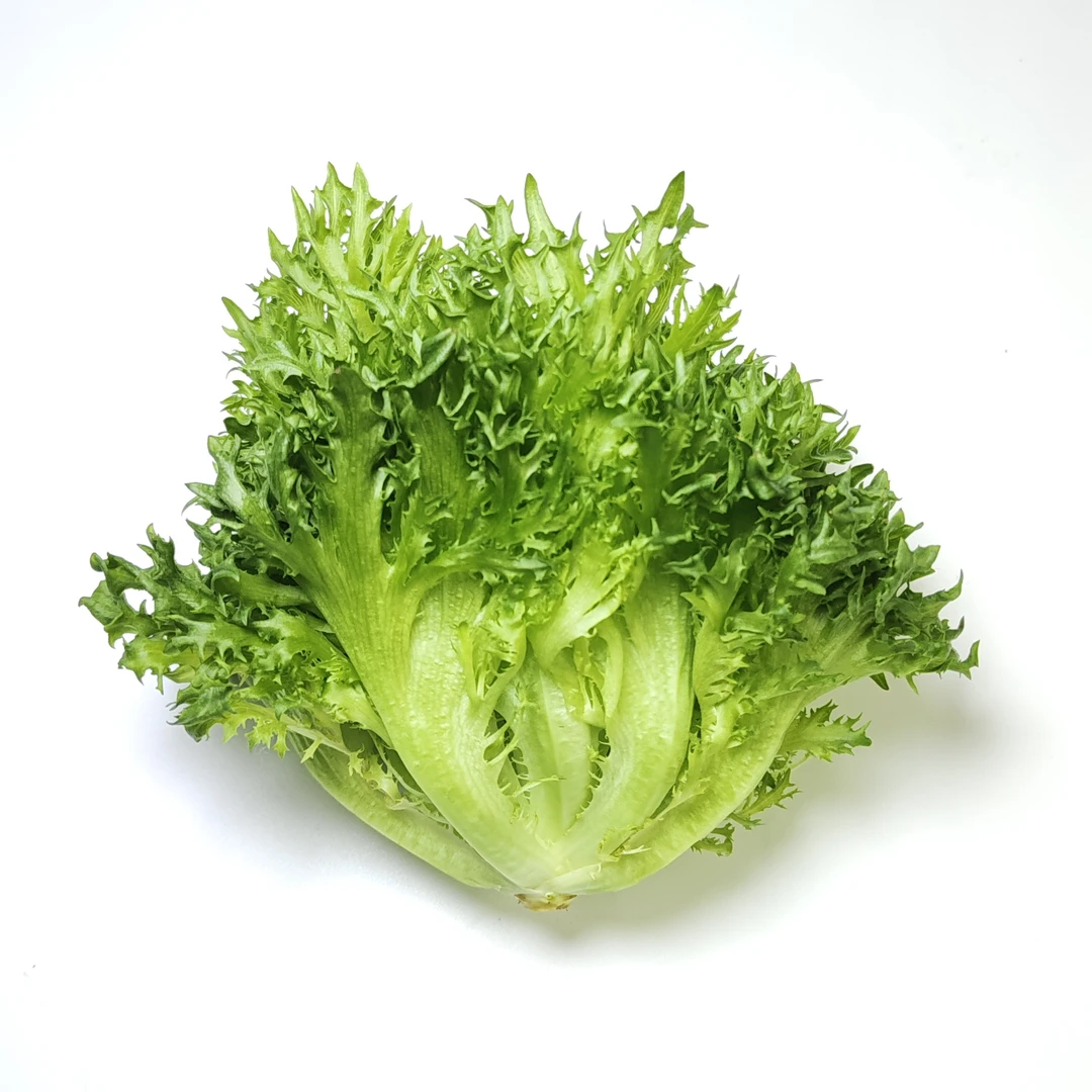 菊花沙拉生菜150g营养含量丰富，含有大量胡萝卜素、健康生长