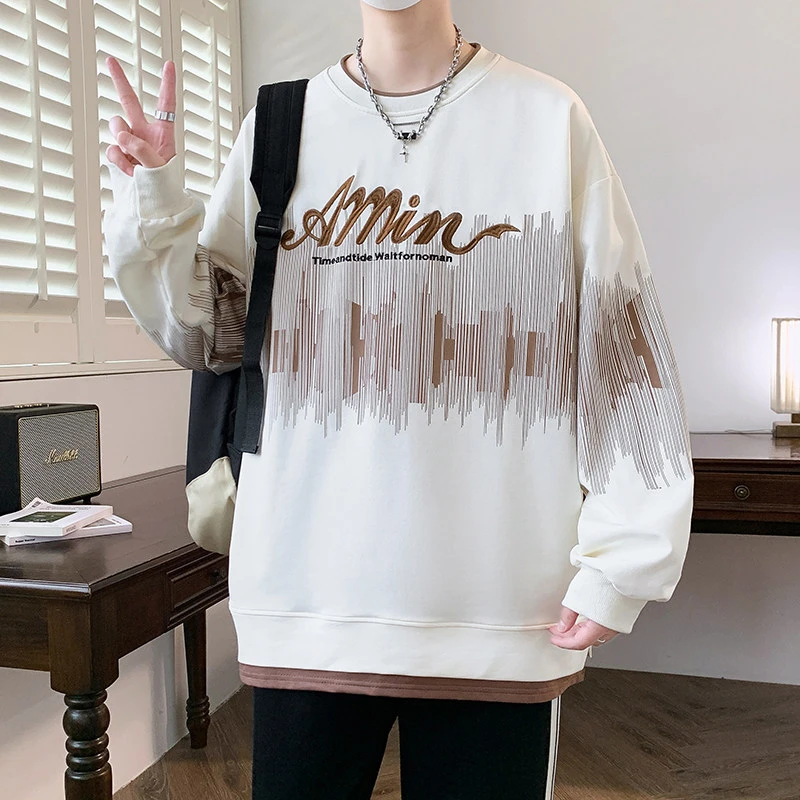 2024秋季新款高品质连帽卫衣男士青少年学生时尚休闲百搭潮流