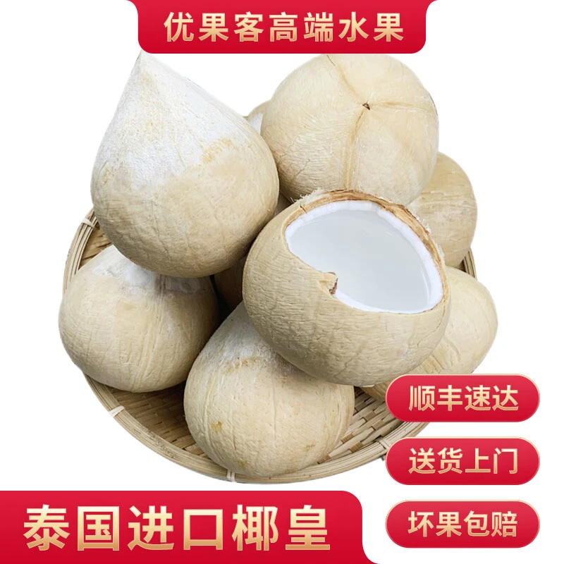【顺丰】泰国奶椰皇 天然椰子汁椰肉椰青进口奶香清甜新鲜水果椰树