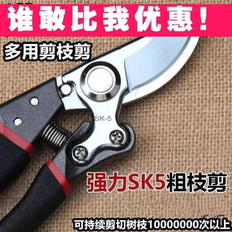 工艺精进钢剪树剪子果树剪修枝剪刀家用花木葡萄修剪耙子耙子耙子
