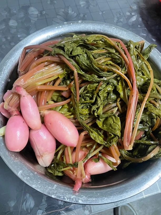 4号，贵州启蒙农村侗家酸萝卜菜，京东包邮，5斤起拍