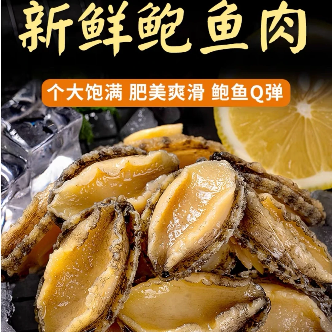 新鲜海捕活冻鲍鱼肉 去内脏 （400g/包）