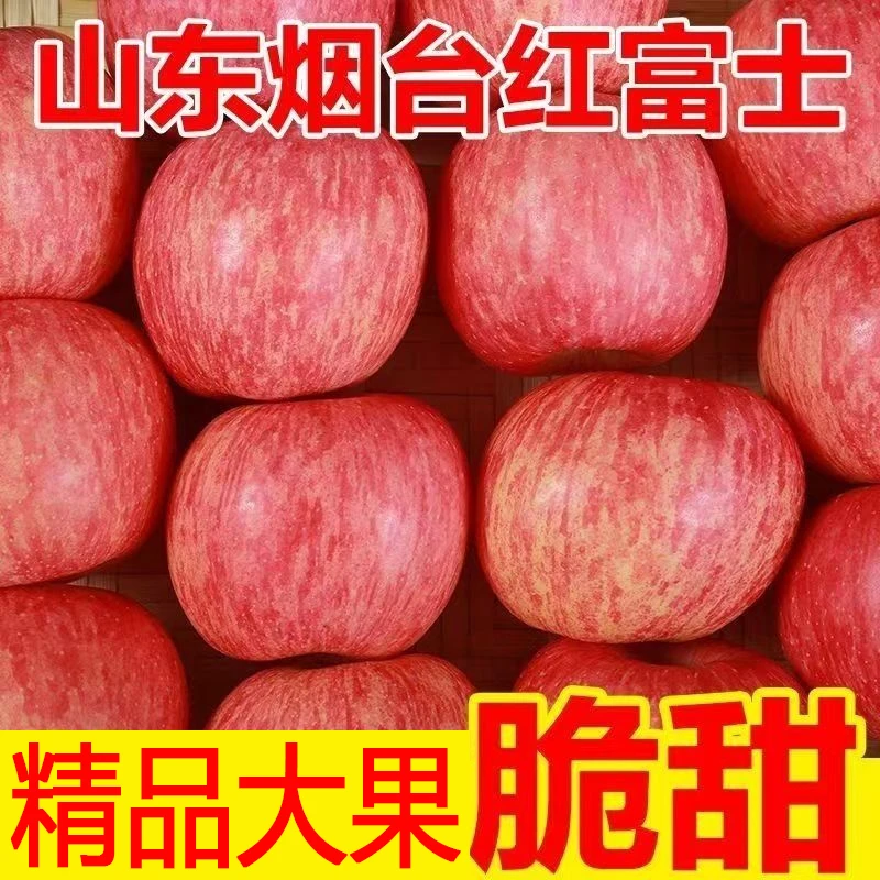 【李阿姨专属】脆甜多汁山东烟台栖霞红富士苹果水果脆4.5斤不打蜡