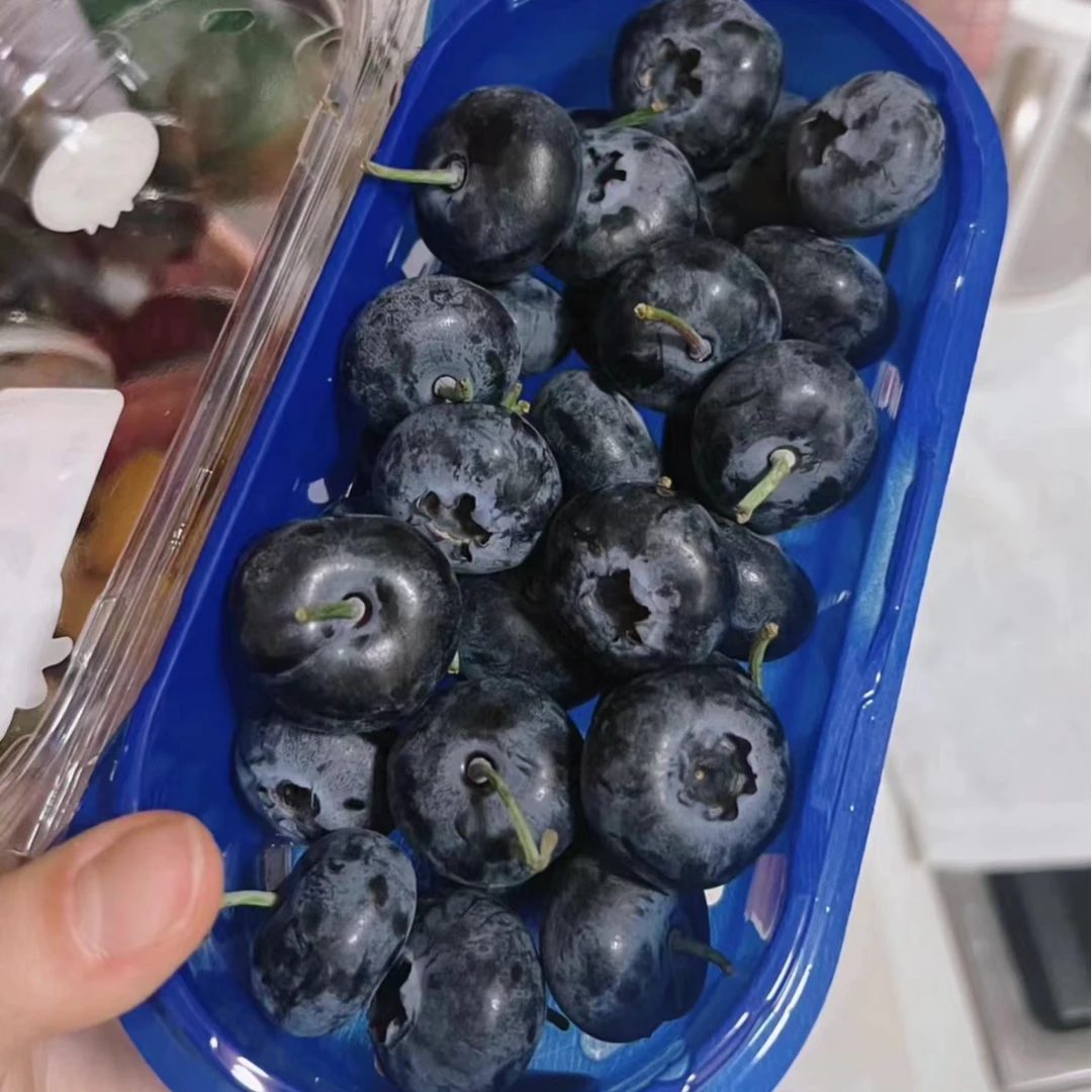 24+超大蓝莓一盒