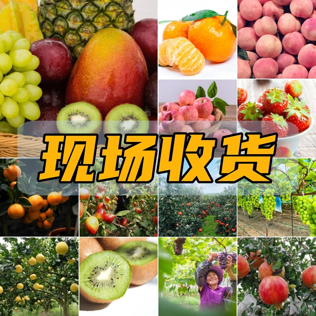 【枝花甄选】新鲜水果 初级农产品农户直采收 苹果 水蜜桃 软籽石榴