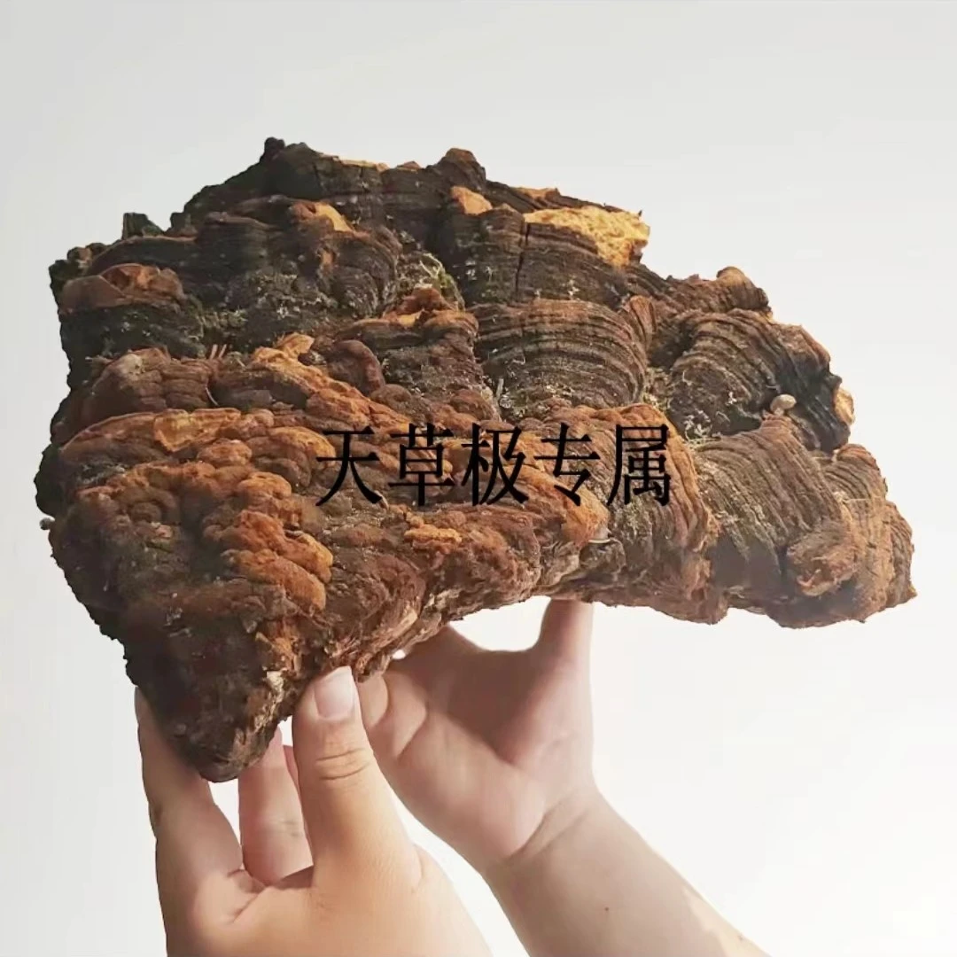 现收特产 【云南土特产-桑H】