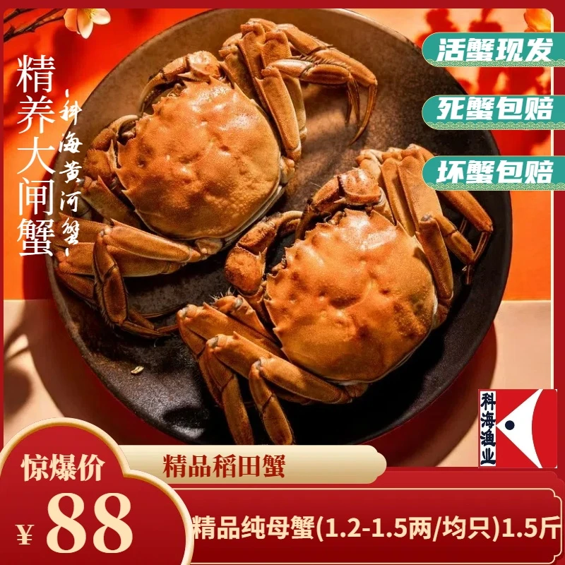 精品稻田蟹纯母蟹(1.2-1.5两/均只)2斤裝