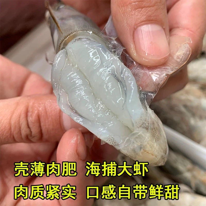 2030海洋大虾新鲜速冻净重3斤