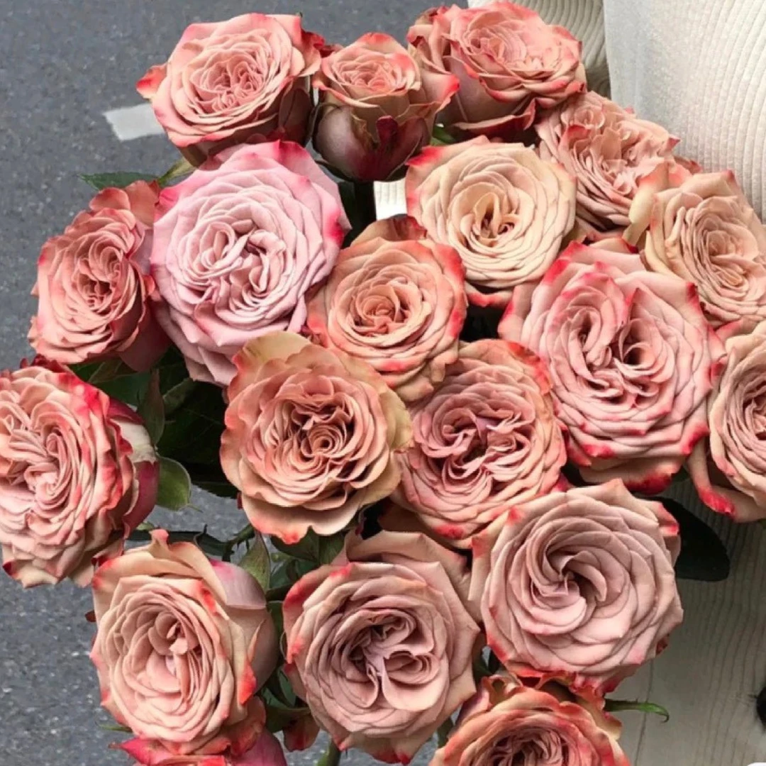 卡布奇诺玫瑰鲜花花束云南昆明基地直发家用鲜花【冷链包邮】