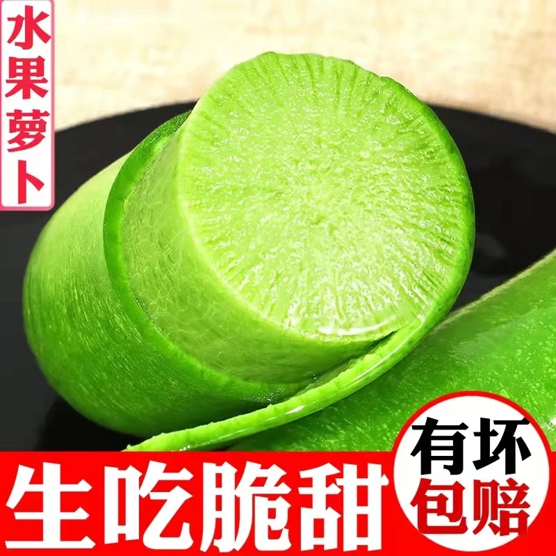 正宗潍坊青萝卜脆 水份大5斤