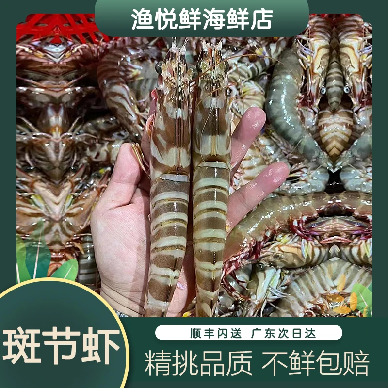花虾也叫斑节虾、虾中的天花板级别 一斤约8-9个装