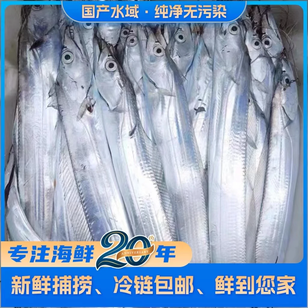 【爆款】新鲜海捕渤海湾整条小眼油带鱼 5斤15条左右