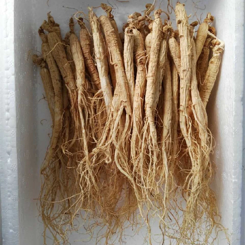 东北长白山生晒参干货滋补泡酒泡水煲汤250g/500g