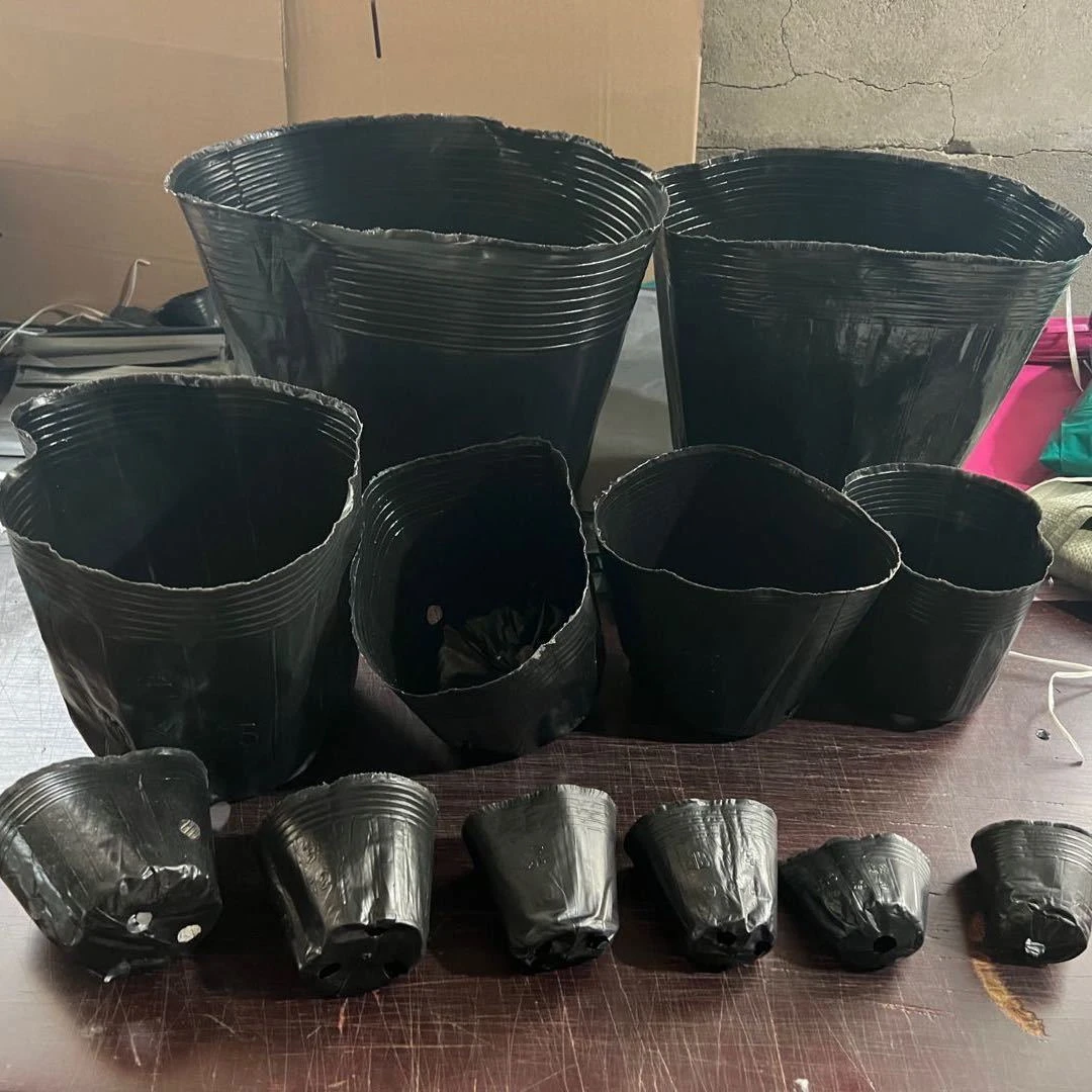 加厚16*16的2000个营养钵【直播间专项】黑色塑料育苗