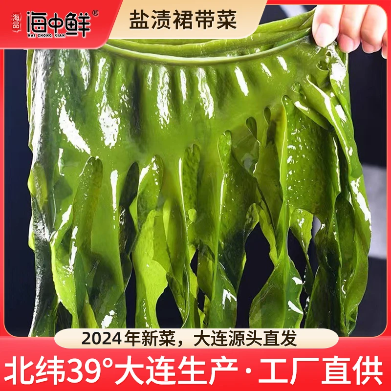 海品海中鲜-盐渍裙带菜 净重4斤