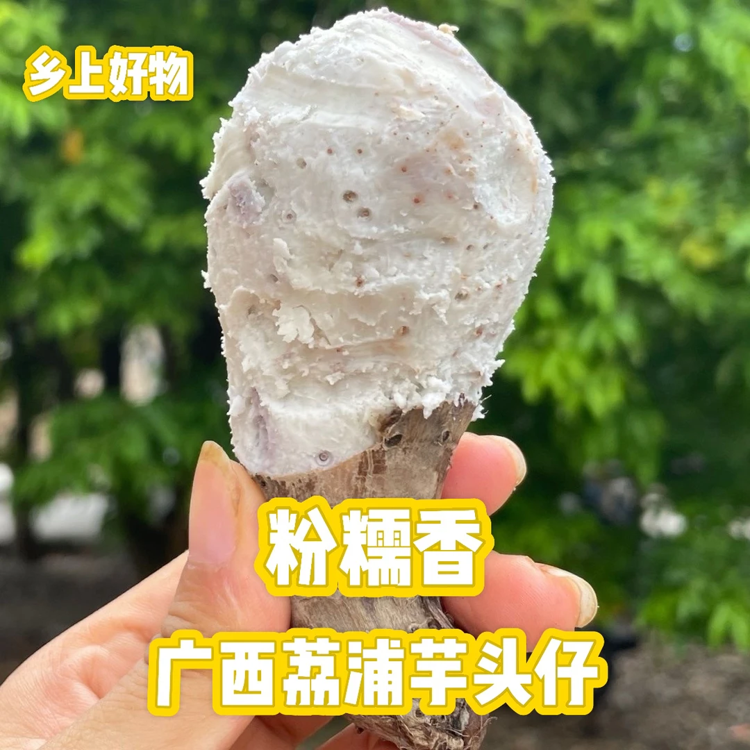 乡上荔人广西正宗荔浦芋头仔3/5斤现挖新鲜粉糯槟榔芋