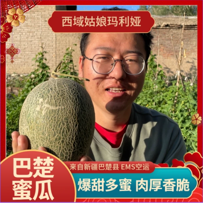 巴楚蜜瓜 新疆巴楚县脆口甜瓜 8-9斤 EMS空运