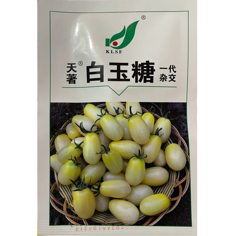 白玉糖一代杂交小西红柿种子番茄味道浓郁花序长花量大早熟番茄籽