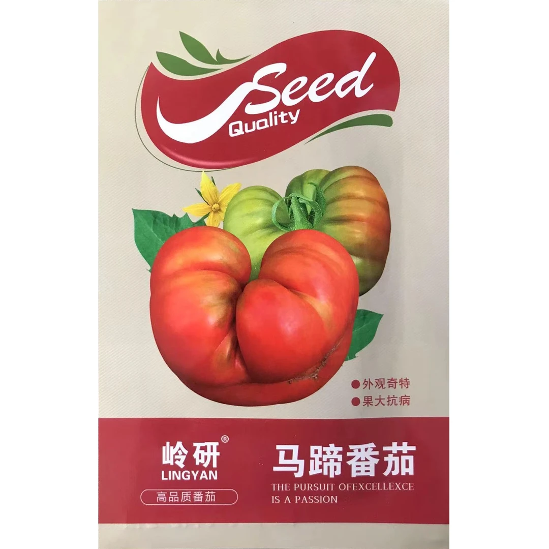 马蹄番茄种子最古老的番茄品种