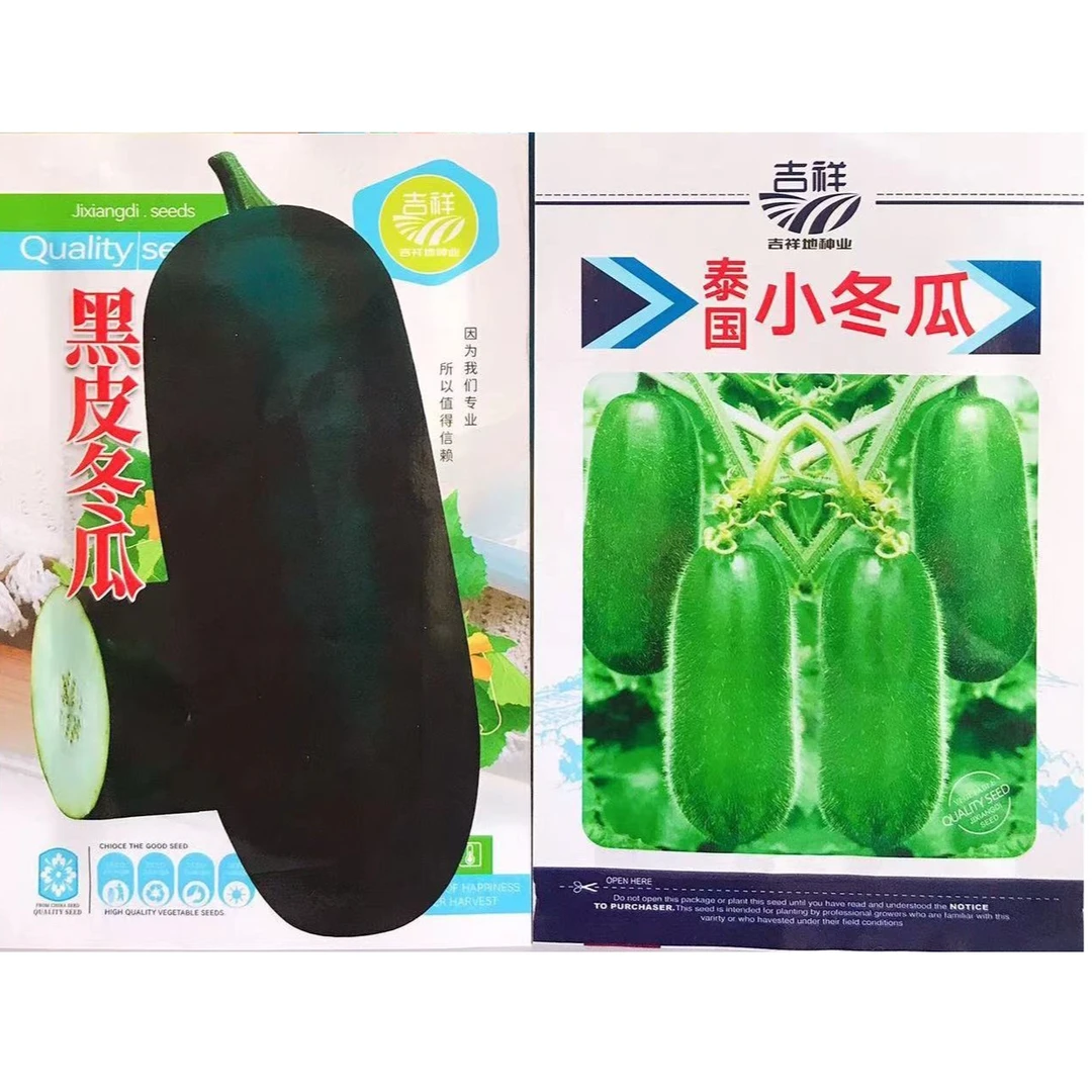 黑皮大冬瓜绿皮小冬瓜种子籽原装高产精品