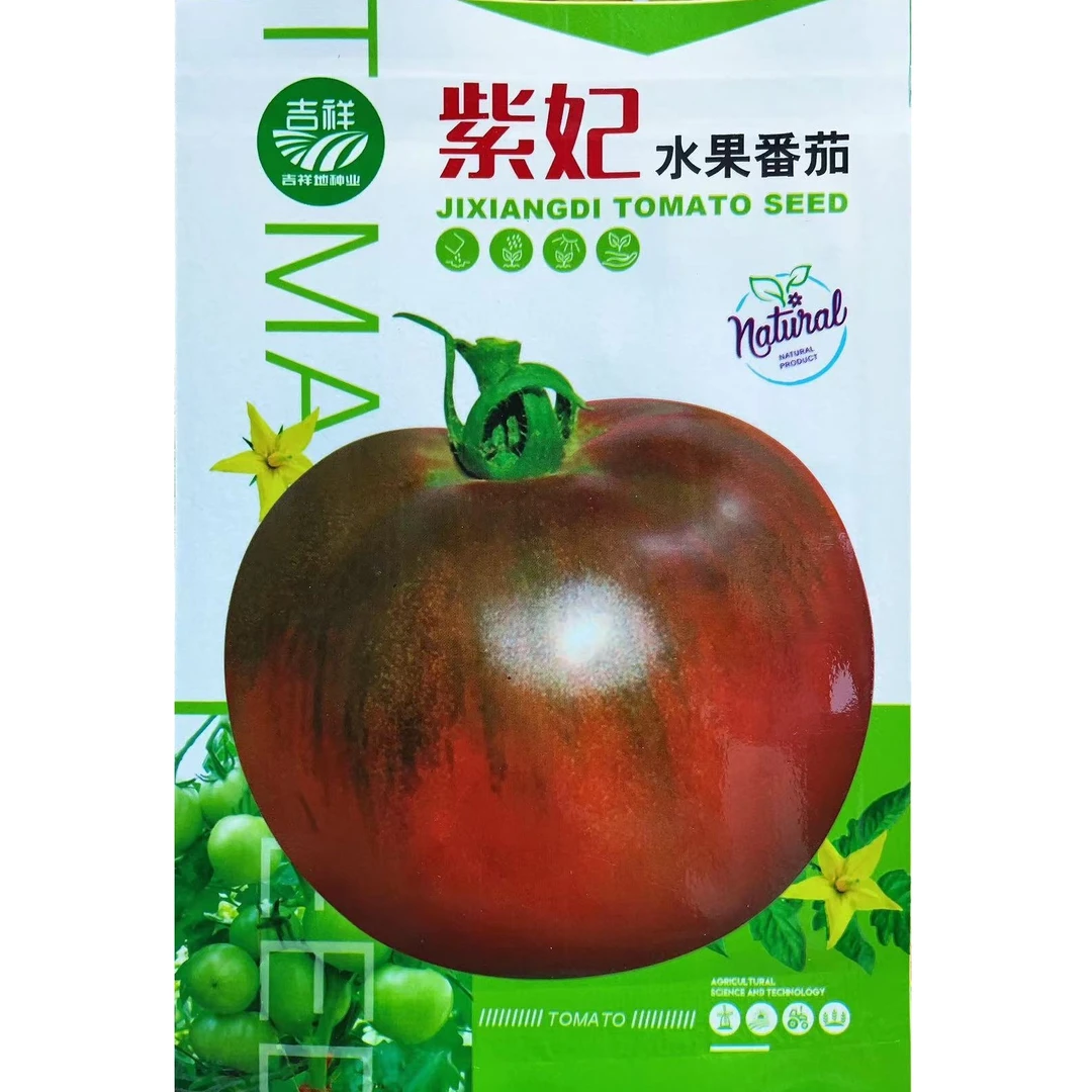 紫番茄柿子种子黑番茄柿子