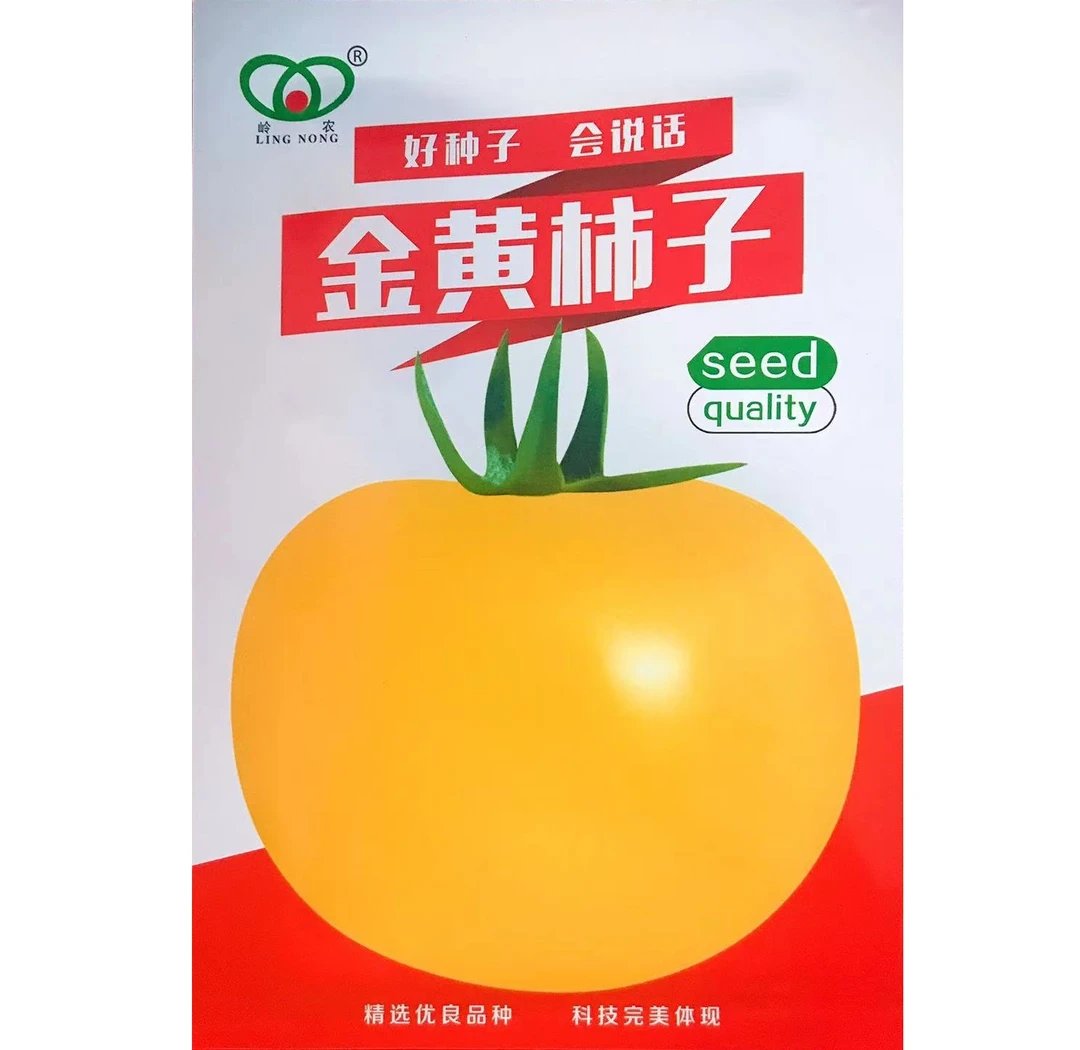 金黄柿子大黄番茄种子籽四季食用老品种西红柿东北大果